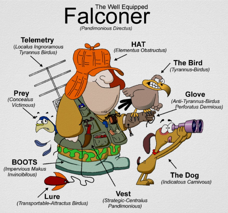 falconer